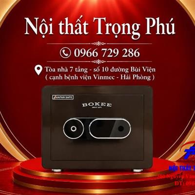 KÉT SẮT BOKEE BK-30VT (NÂU VÀNG ÁNH KIM BÓNG)